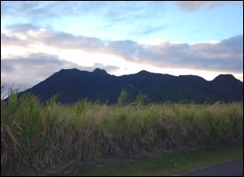 Mt. Liamuiga (Mt. Misery), St. Kitts